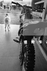 信用卡逾期销卡四年后 信用卡逾期销卡四年后