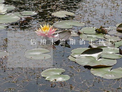 信用卡逾期销卡征信 信用卡逾期销卡征信