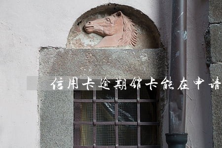 信用卡逾期销卡能在申请吗 信用卡逾期销卡能在申请吗