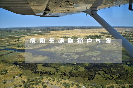 信用卡逾期销户5年 信用卡逾期销户5年