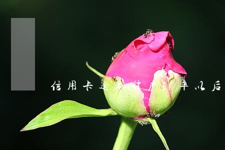 信用卡逾期销户5年以后 信用卡逾期销户5年以后