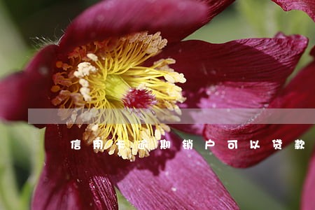 信用卡逾期销户可以贷款么 信用卡逾期销户可以贷款么