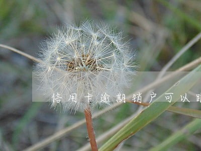 信用卡逾期销户可以跟银行协商吗
