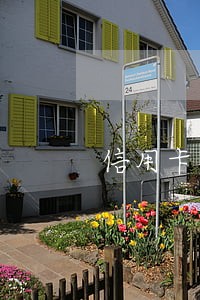信用卡逾期销户后多久能重新办卡 信用卡逾期销户后多久能重新办卡