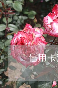 信用卡逾期销户后还能办卡吗 信用卡逾期销户后还能办卡吗