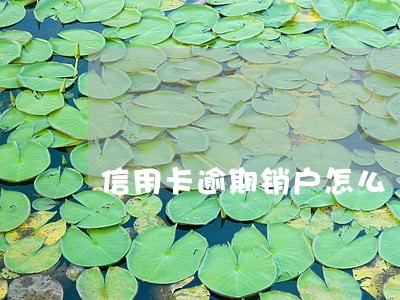 信用卡逾期销户怎么
