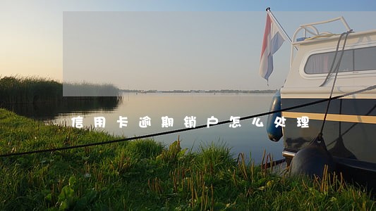 信用卡逾期销户怎么处理 信用卡逾期销户怎么处理