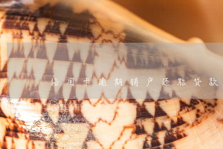 信用卡逾期销户还能贷款吗 信用卡逾期销户还能贷款吗