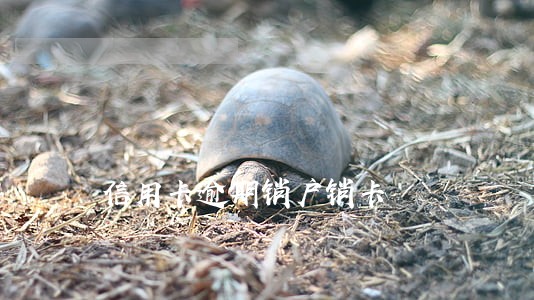 信用卡逾期销户销卡 信用卡逾期销户销卡