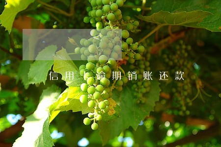 信用卡逾期销账还款 信用卡逾期销账还款