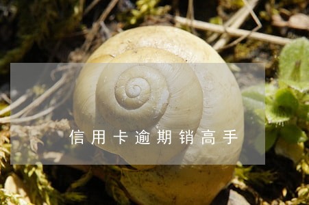信用卡逾期销高手 信用卡逾期销高手