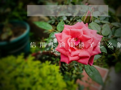 信用卡逾期锁了怎么解 信用卡逾期锁了怎么解
