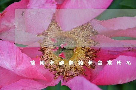 信用卡逾期锁卡会发什么信息 信用卡逾期锁卡会发什么信息