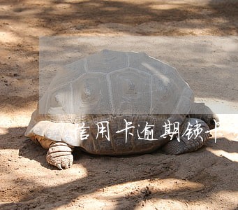 信用卡逾期锁卡分期 信用卡逾期锁卡分期