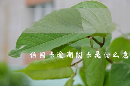 信用卡逾期锁卡是什么意思 信用卡逾期锁卡是什么意思