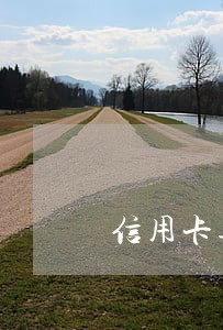 信用卡逾期锁卡能还进去吗
