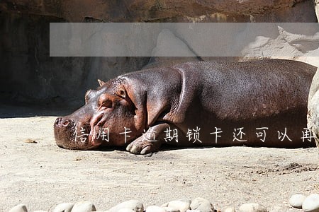信用卡逾期锁卡还可以再开吗 信用卡逾期锁卡还可以再开吗