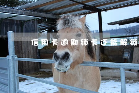 信用卡逾期锁卡还能解锁吗平安