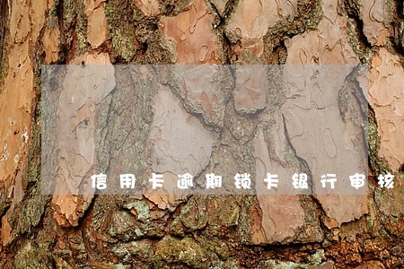 信用卡逾期锁卡银行审核