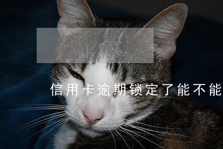 信用卡逾期锁定了能不能去银行改