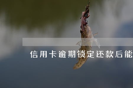 信用卡逾期锁定还款后能用吗 信用卡逾期锁定还款后能用吗