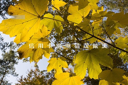 信用卡逾期错误做法 信用卡逾期错误做法
