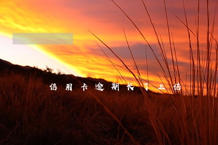 信用卡逾期长了三倍 信用卡逾期长了三倍
