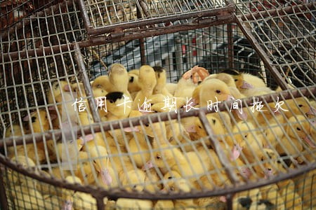 信用卡逾期长时间拖欠 信用卡逾期长时间拖欠