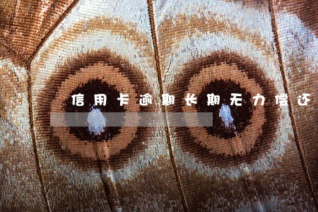 信用卡逾期长期无力偿还 信用卡逾期长期无力偿还