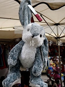 信用卡逾期问名下资产