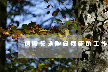 信用卡逾期问我新的工作单位