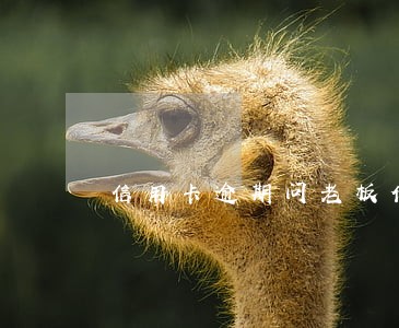 信用卡逾期问老板借钱