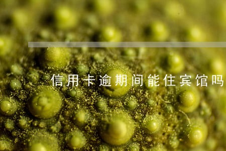 信用卡逾期间能住宾馆吗 信用卡逾期间能住宾馆吗