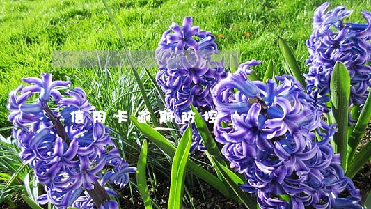 信用卡逾期防控 信用卡逾期防控