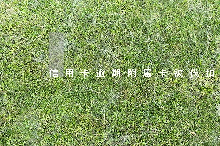 信用卡逾期附属卡被代扣 信用卡逾期附属卡被代扣