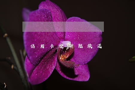 信用卡逾期陆续还