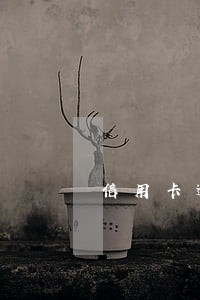信用卡逾期降低为0可以还吗 信用卡逾期降低为0可以还吗