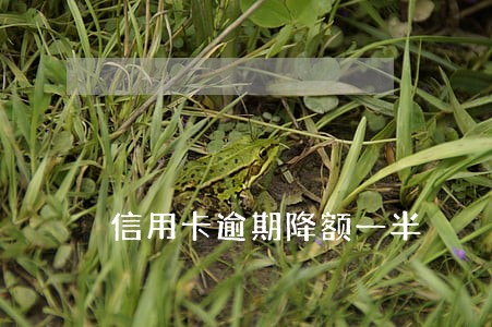 信用卡逾期降额一半 信用卡逾期降额一半