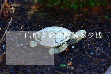 信用卡逾期降额多少钱 信用卡逾期降额多少钱