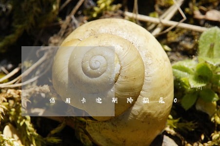 信用卡逾期降额尾0 信用卡逾期降额尾0