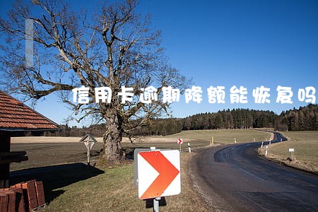 信用卡逾期降额能恢复吗 信用卡逾期降额能恢复吗