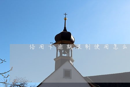 信用卡逾期限制使用怎么办 信用卡逾期限制使用怎么办