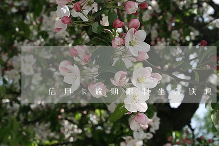 信用卡逾期限制坐高铁吗