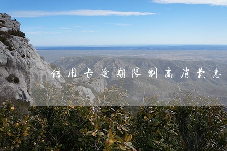信用卡逾期限制高消费怎么处理 信用卡逾期限制高消费怎么处理