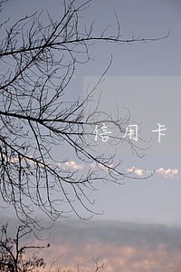 信用卡逾期限制高消费通知