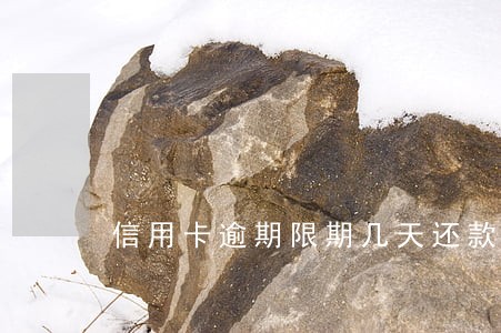 信用卡逾期限期几天还款 信用卡逾期限期几天还款