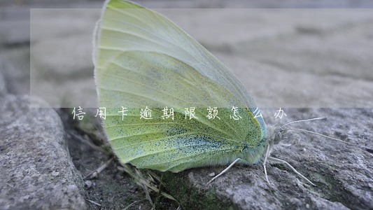 信用卡逾期限额怎么办 信用卡逾期限额怎么办