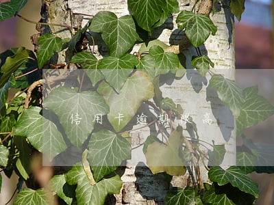 信用卡逾期限高 信用卡逾期限高