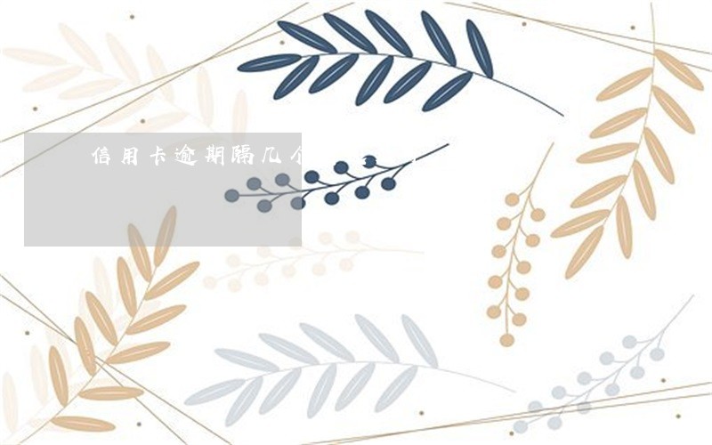 信用卡逾期隔几个月还几千