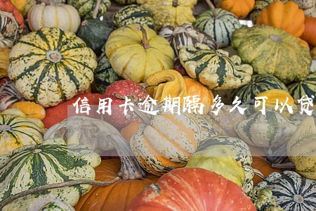 信用卡逾期隔多久可以贷款 信用卡逾期隔多久可以贷款